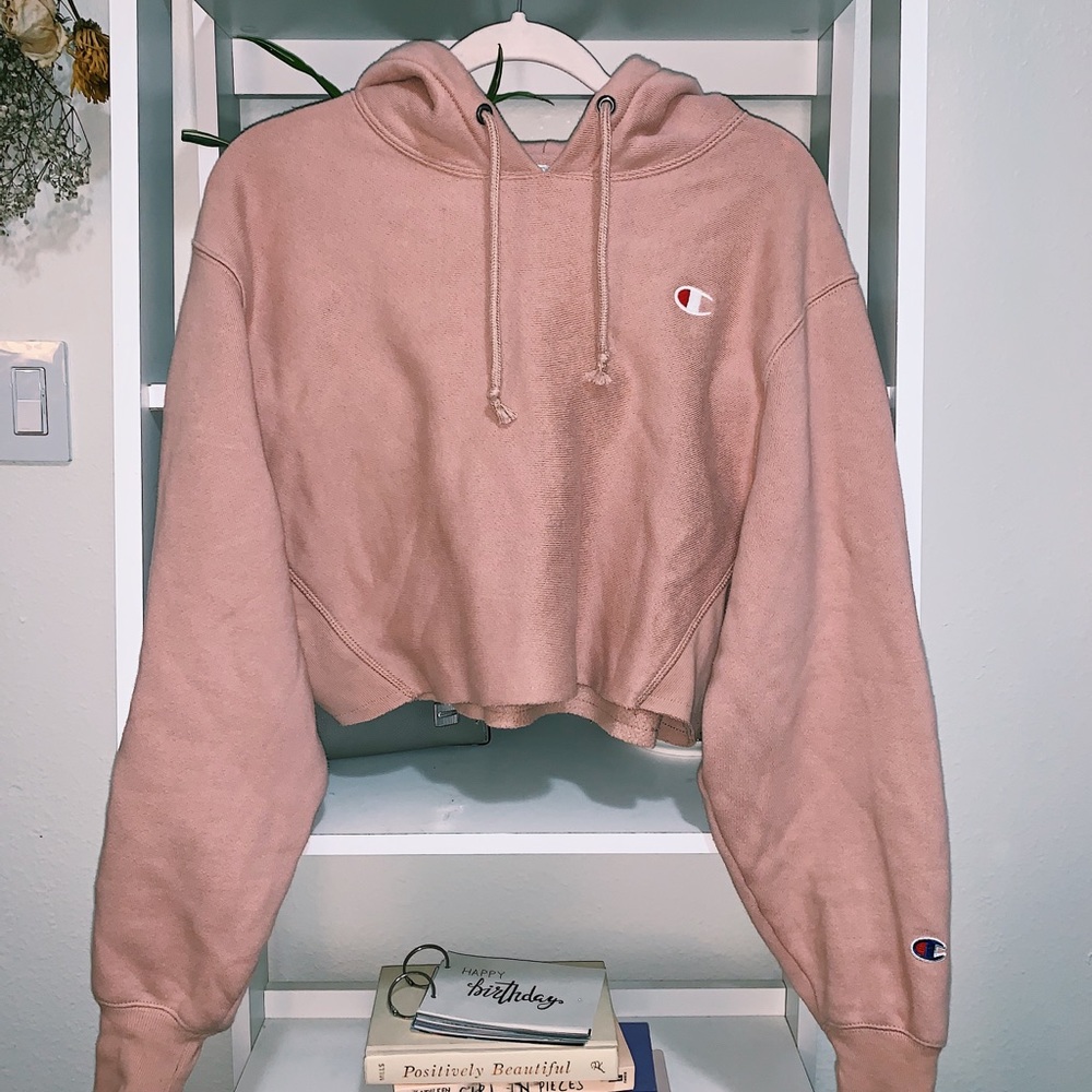 Champion reverse weave cropped hoodie (mauve)